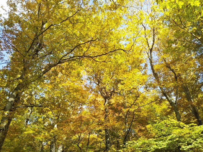 c0294658_19392847.jpg