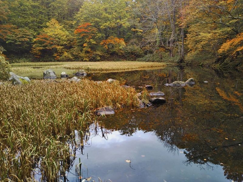 スズ沼　穏やかな水面_c0294658_19392895.jpg