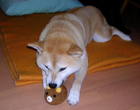 ’18,10,20(土)旅も人生も楽しんだもん勝ち!_f0060461_04351927.jpg