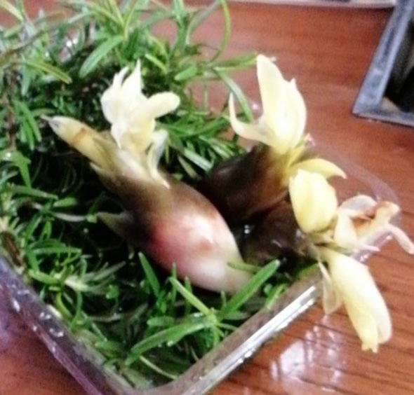 a0053063_22235538.jpeg