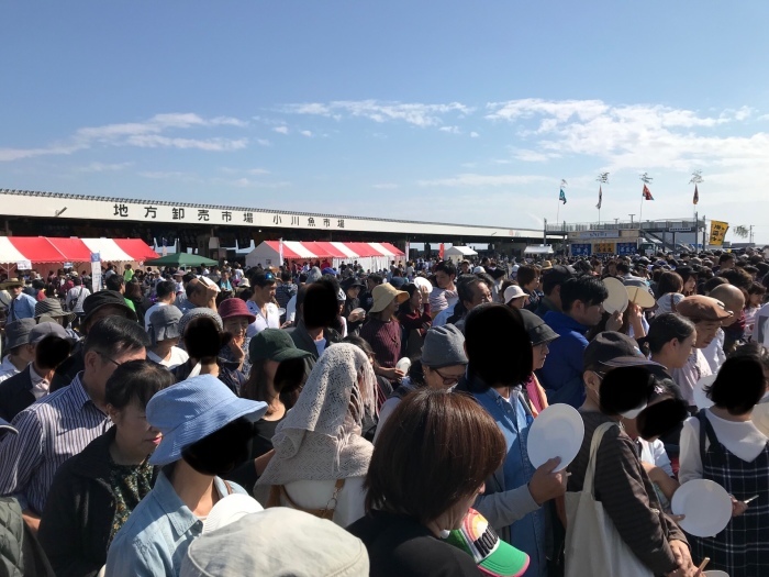 鯖祭り_f0359673_16393239.jpeg