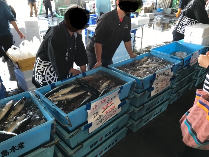 f0359673_16415566.jpeg