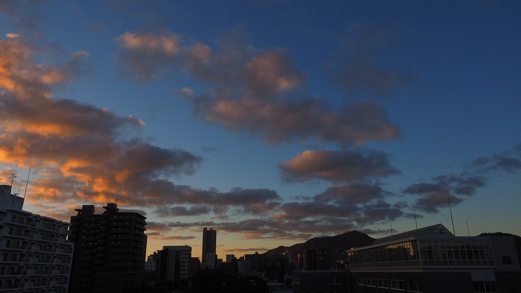 c0183777_710923.jpg