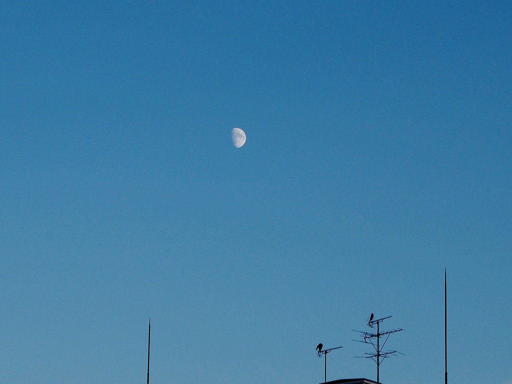 c0183777_943871.jpg