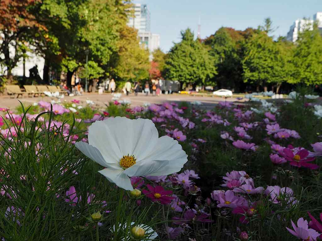 c0183777_95261.jpg