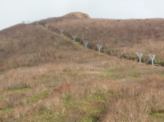 c0069380_09331049.jpg