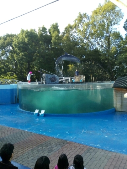 c0327280_17392442.jpg