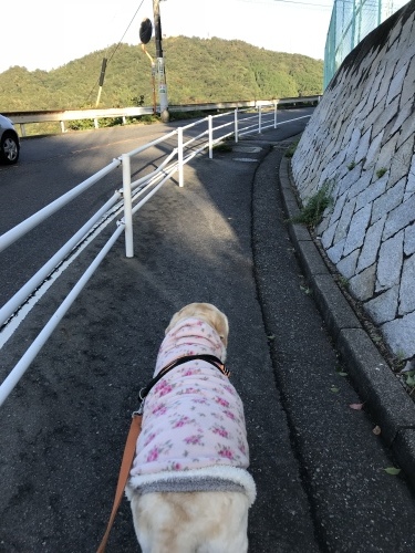 f0315081_22152564.jpeg