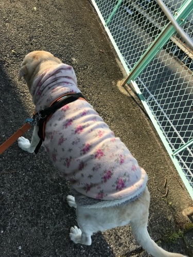 f0315081_22162070.jpeg