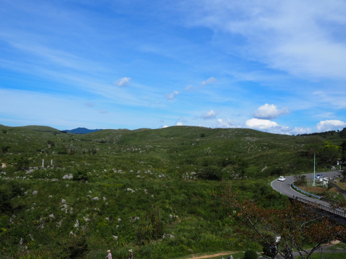 プードルDay_f0357682_02294490.jpg