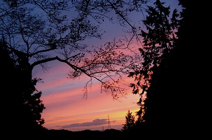 ニ上山　冬桜・夕日_c0229483_1125573.jpg