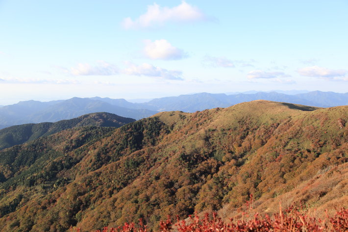 c0358784_23153217.jpg