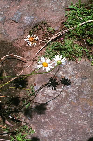 c0386291_06541864.jpg