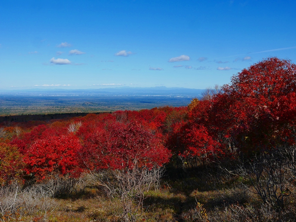 紅葉の樽前山、2018.10.19_f0138096_10050791.jpg