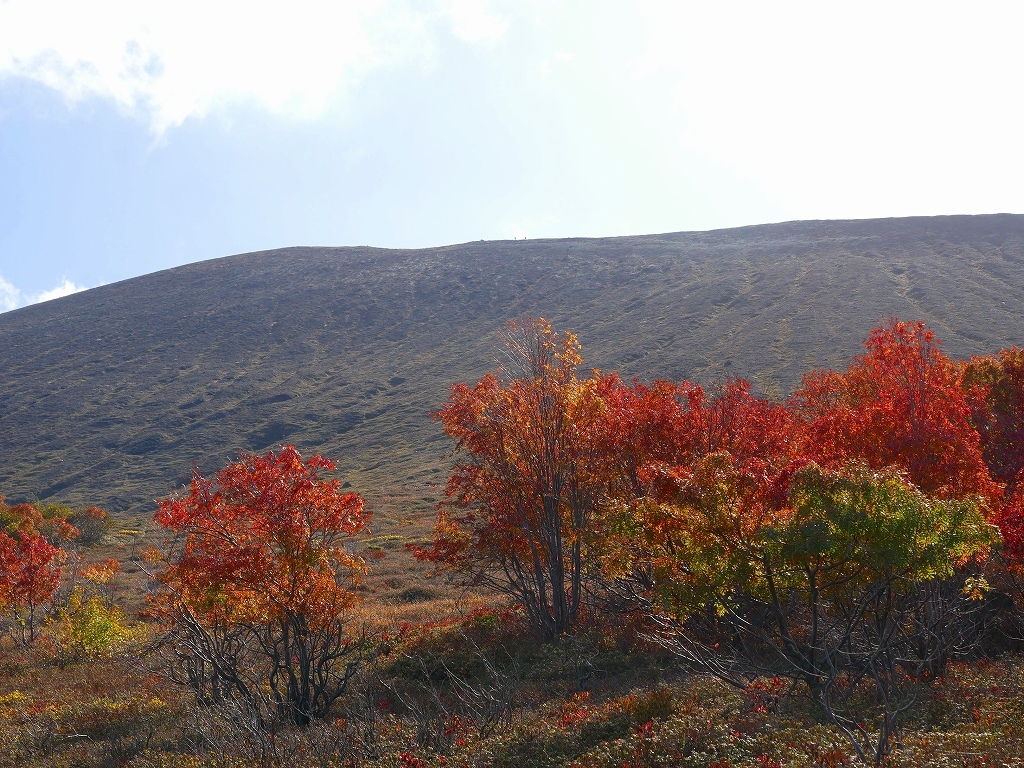 紅葉の樽前山、2018.10.19_f0138096_10054005.jpg