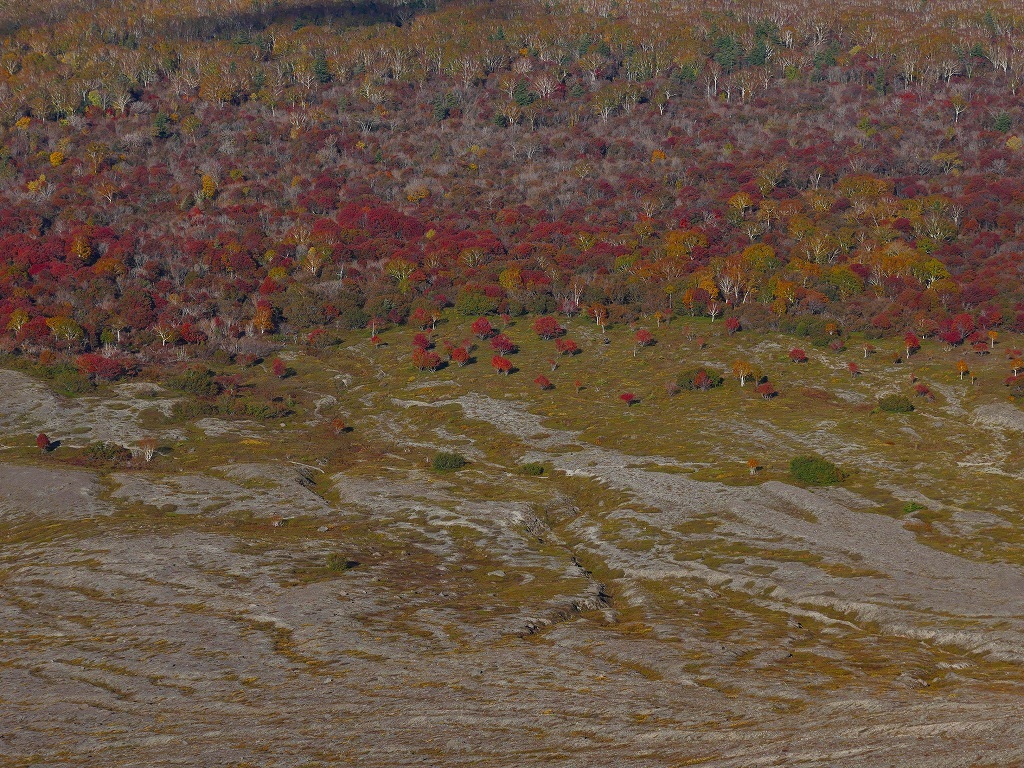 紅葉の樽前山、2018.10.19_f0138096_10080540.jpg