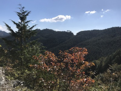 f0308898_21304022.jpg