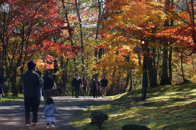 夕張 滝の上公園ほかの紅葉 今日の鳥さん