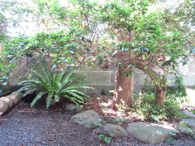 b0216900_10365053.jpg