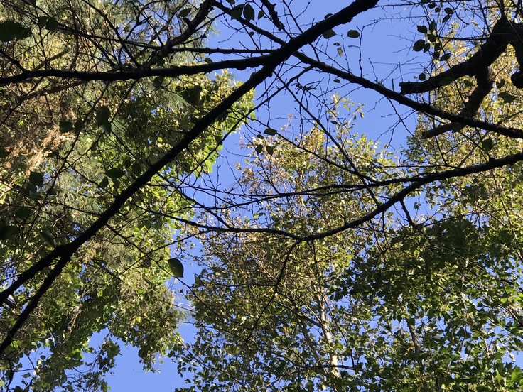 c0212604_1738599.jpg