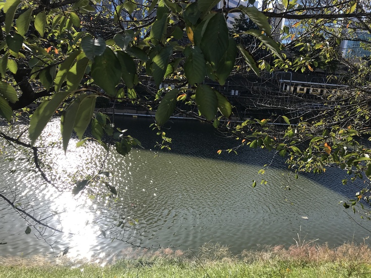 c0212604_17395455.jpg