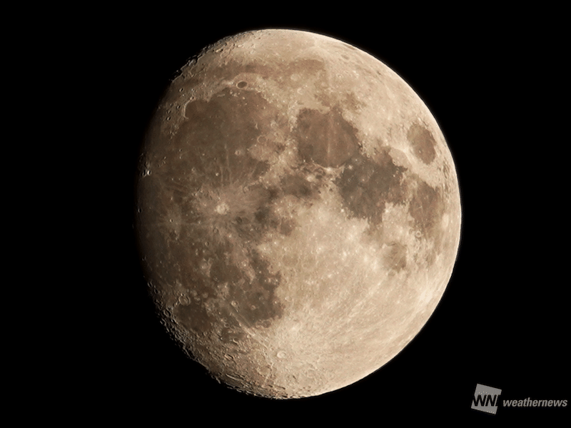 f0231709_19473146.png