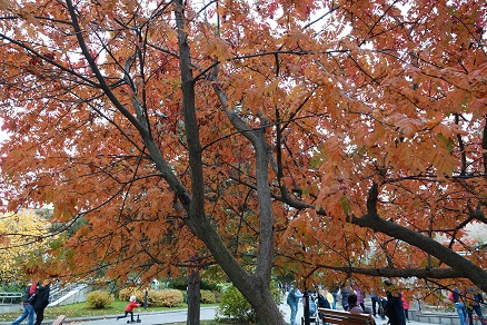 a0151913_741214.jpg