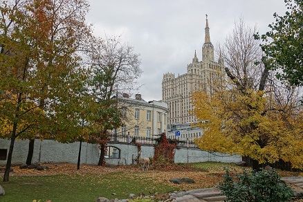 a0151913_8161076.jpg