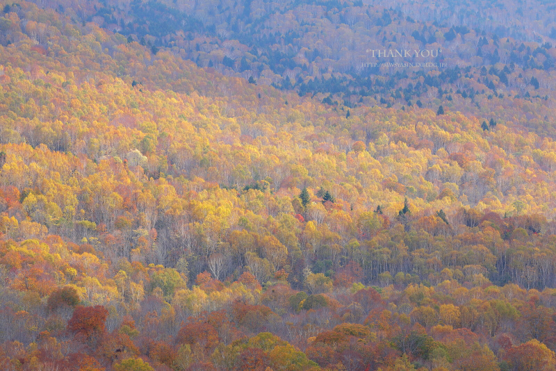 c0211922_03125522.jpg