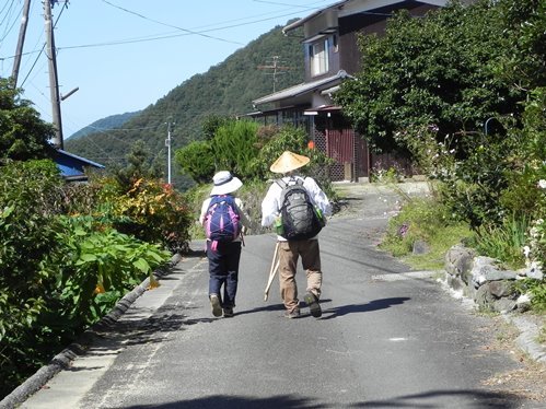 おしどりお遍路さん三組！_f0213825_14282587.jpg