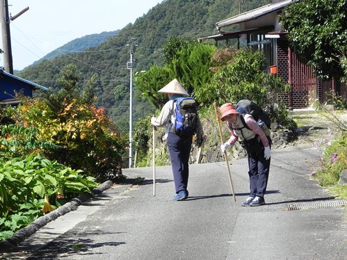 おしどりお遍路さん三組！_f0213825_15061936.jpg