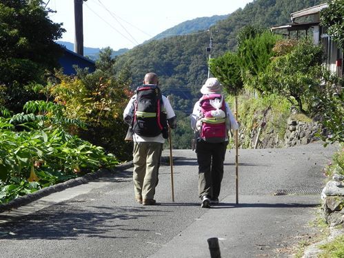 おしどりお遍路さん三組！_f0213825_15200291.jpg