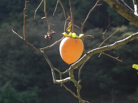 f0213825_15285653.jpg