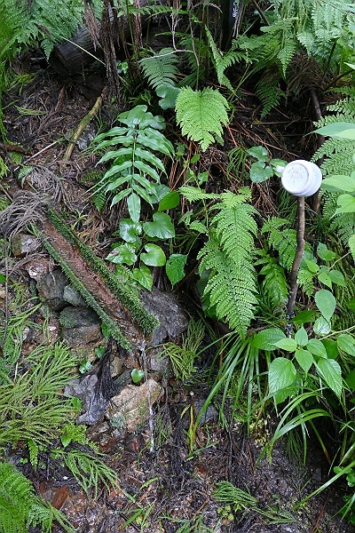 初秋の巾着田を目指す　その5_c0196928_16192776.jpg