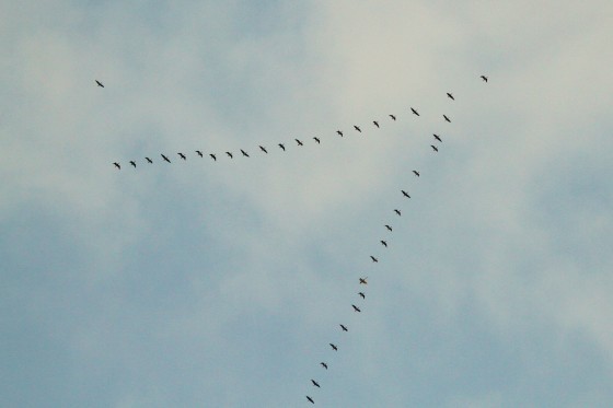 f0118332_00451174.jpg