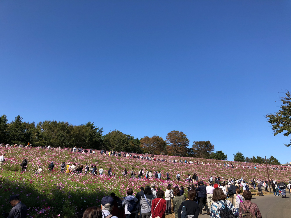f0237034_23030345.jpg