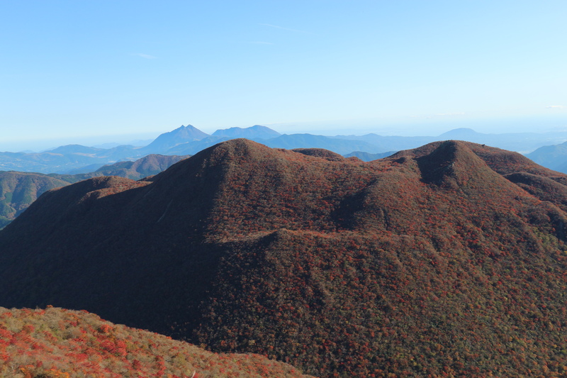 e0272335_15431386.jpg