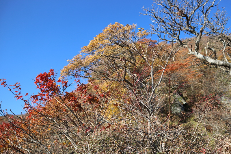 e0272335_15564820.jpg
