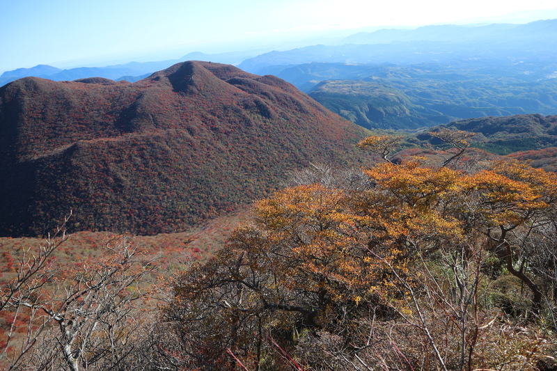 e0272335_1603254.jpg