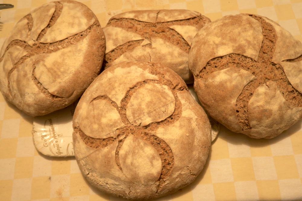 古代小麦とパンへの情熱_f0234936_6313960.jpg