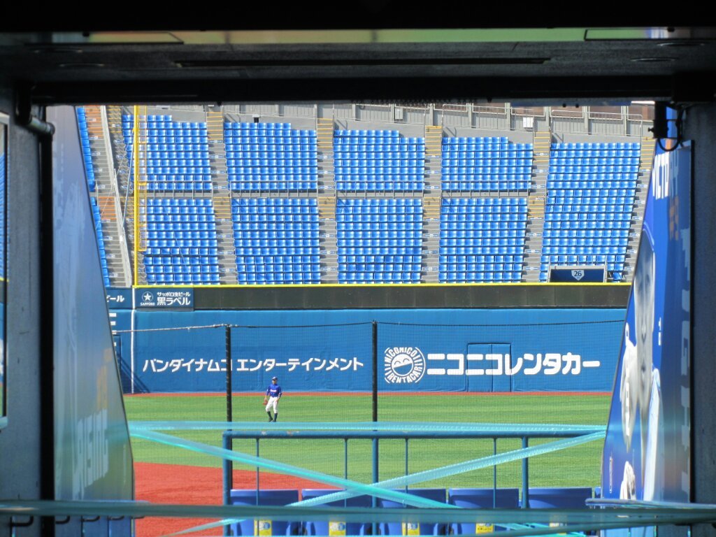 画像情報