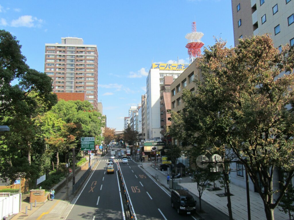 画像情報