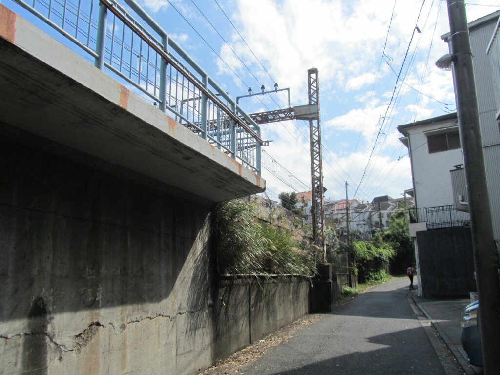 画像情報