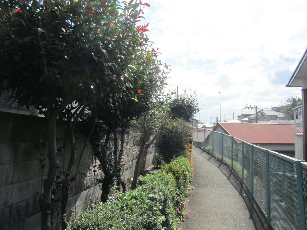画像情報