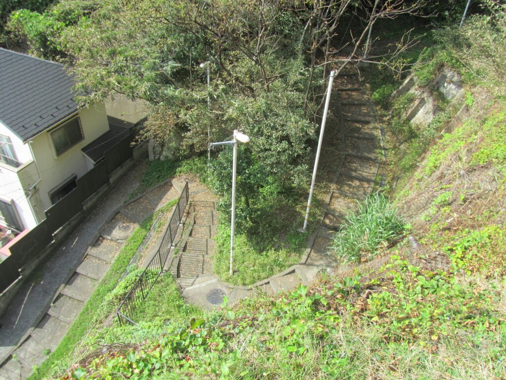 画像情報