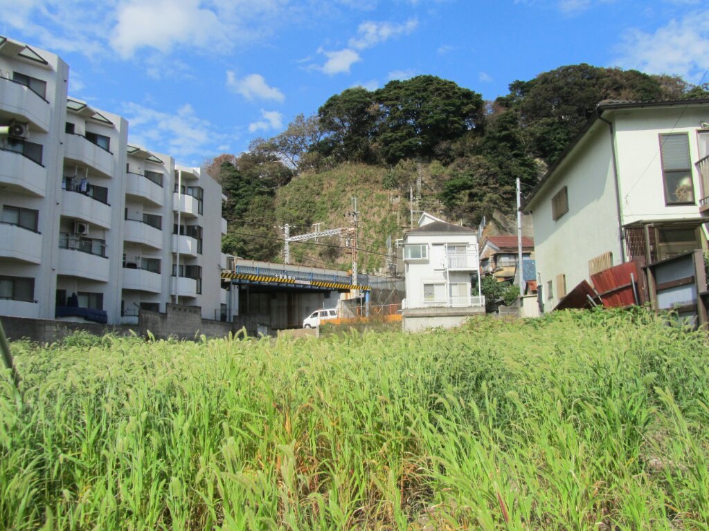 画像情報