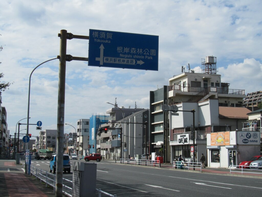 画像情報