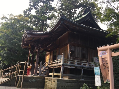 b0330040_11454294.jpeg