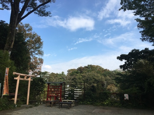 b0330040_11462685.jpeg