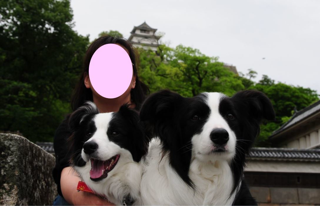 c0147241_08053842.jpg
